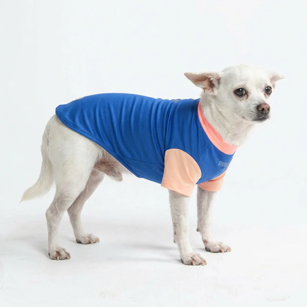 Sunblock Dog T-Shirt - Color Block - Image 41
