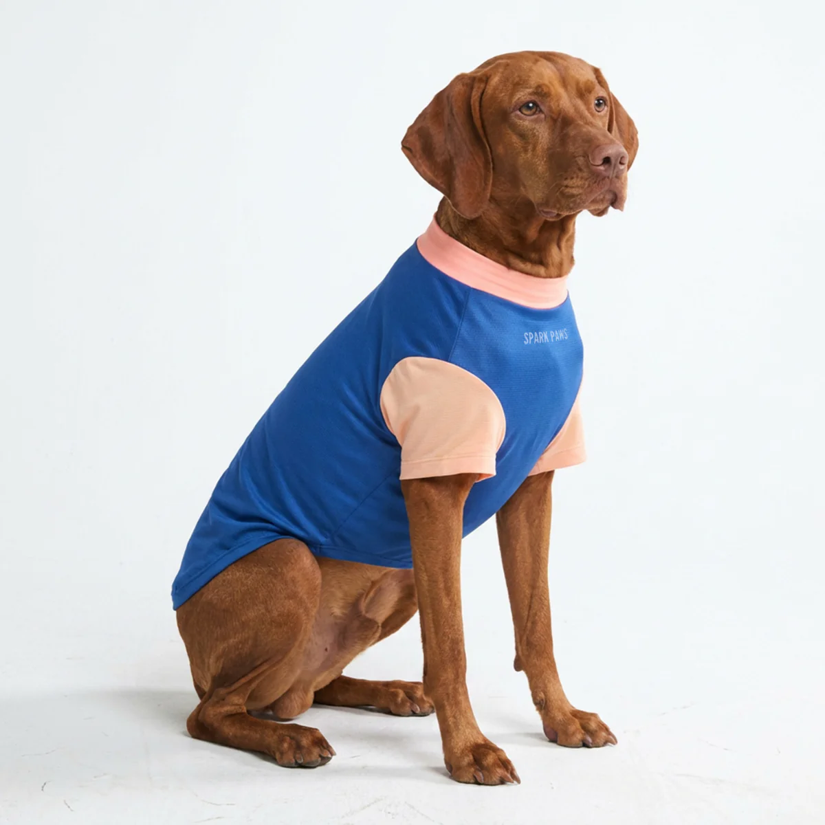 Sunblock Dog T-Shirt - Color Block - Image 42