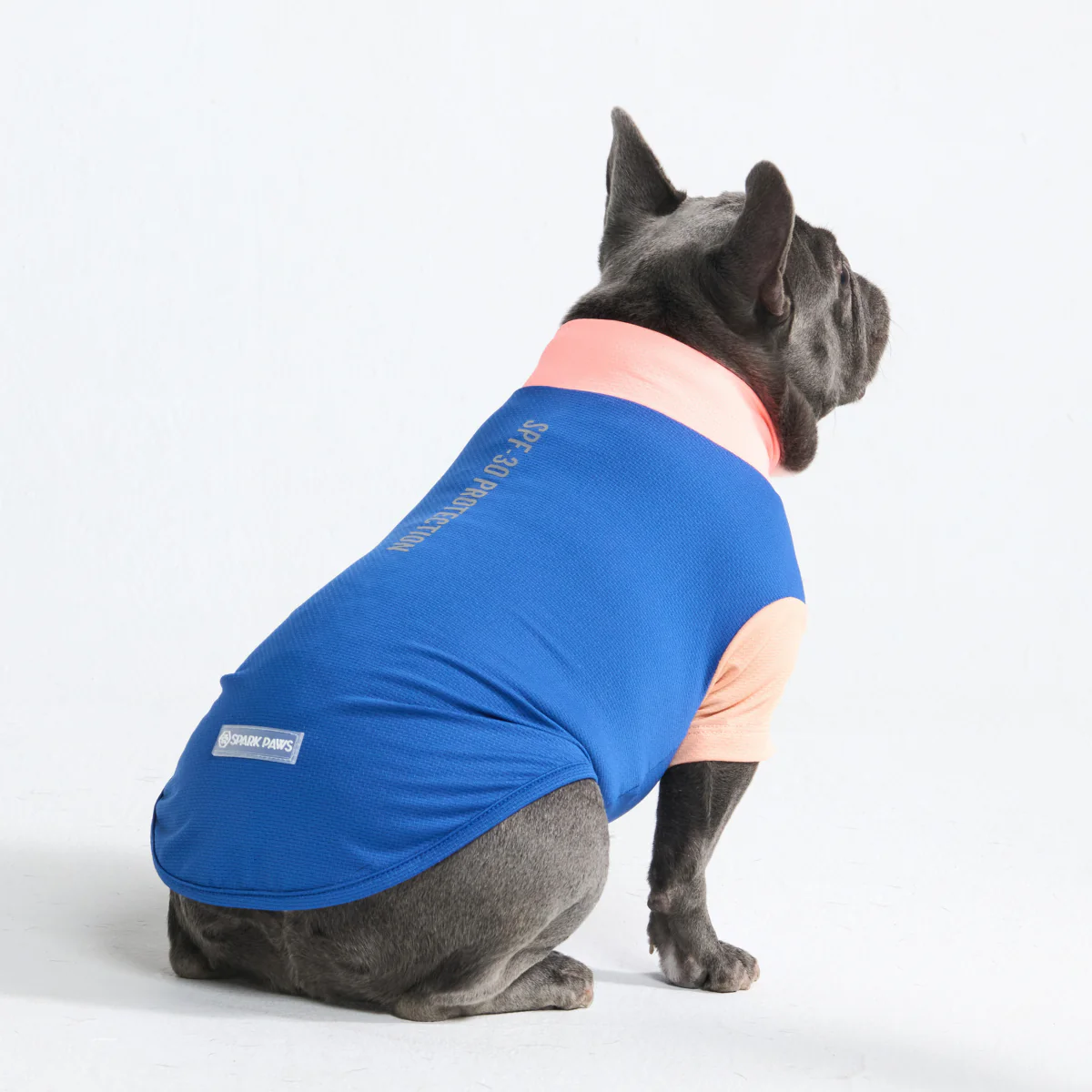 Sunblock Dog T-Shirt - Color Block - Image 43