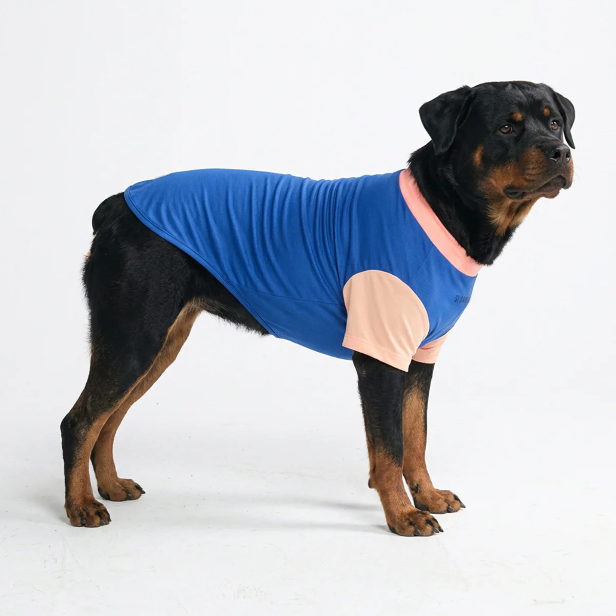 Sunblock Dog T-Shirt - Color Block - Image 44