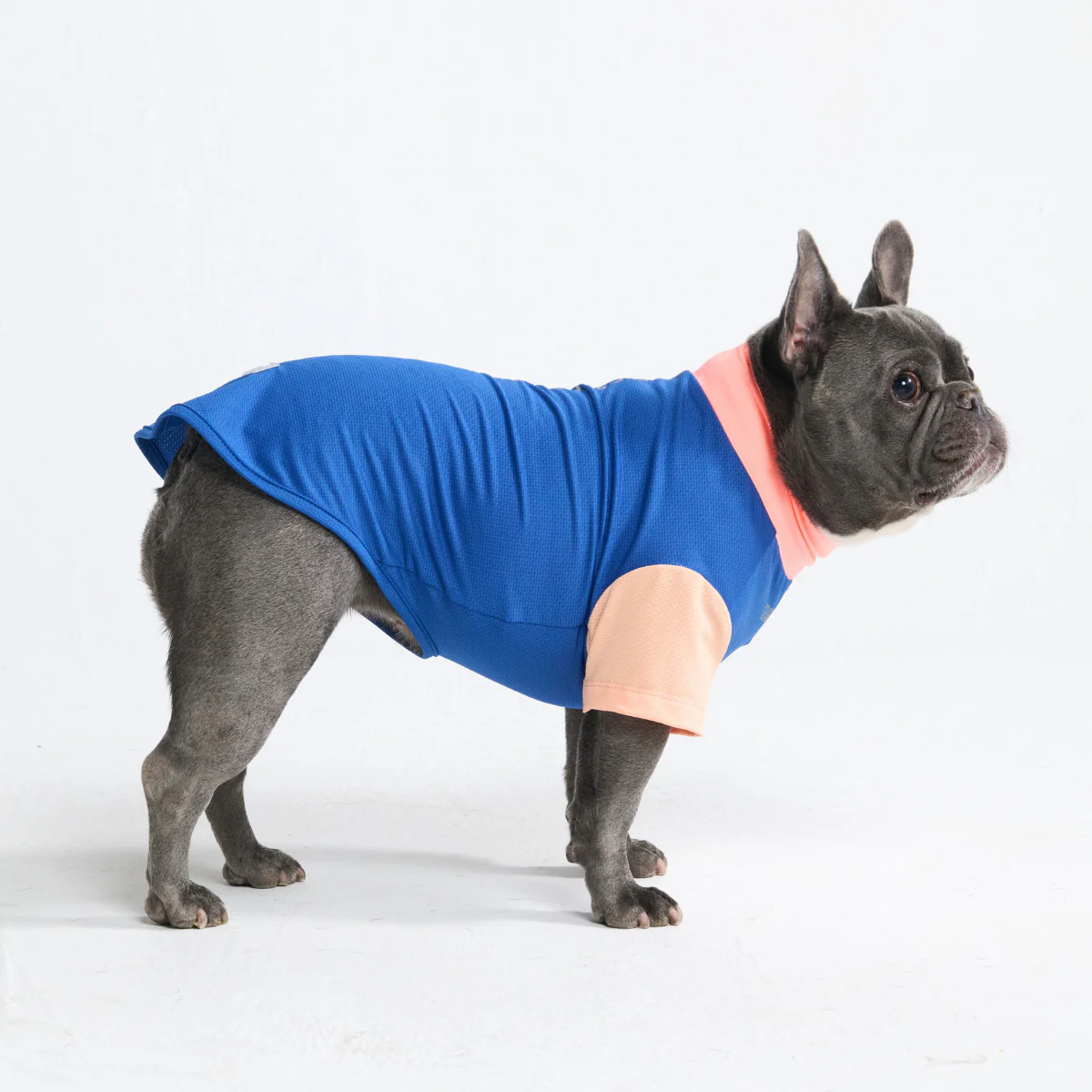 Sunblock Dog T-Shirt - Color Block - Image 45