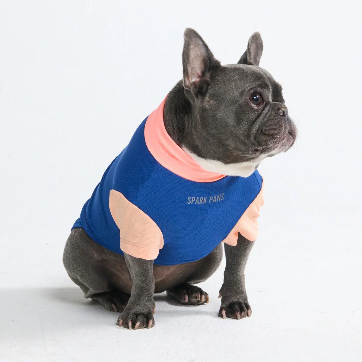 Sunblock Dog T-Shirt - Color Block - Image 46