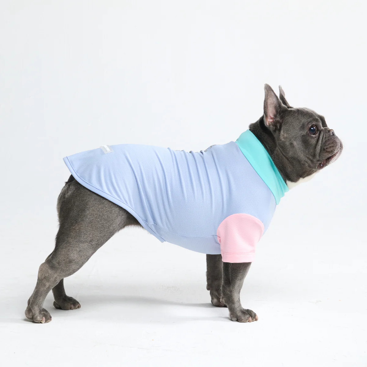 Sunblock Dog T-Shirt - Color Block - Image 5