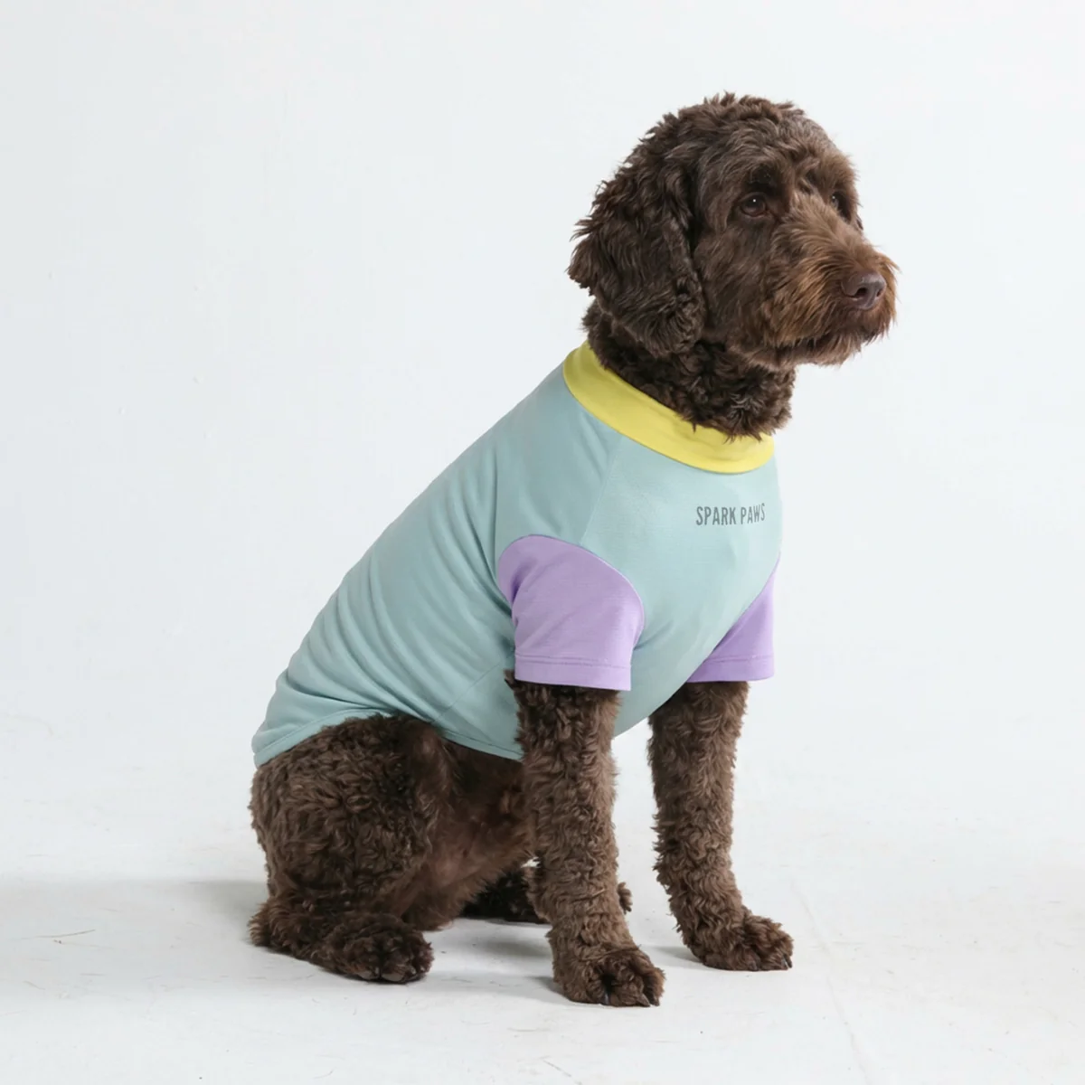Sunblock Dog T-Shirt - Color Block - Image 51
