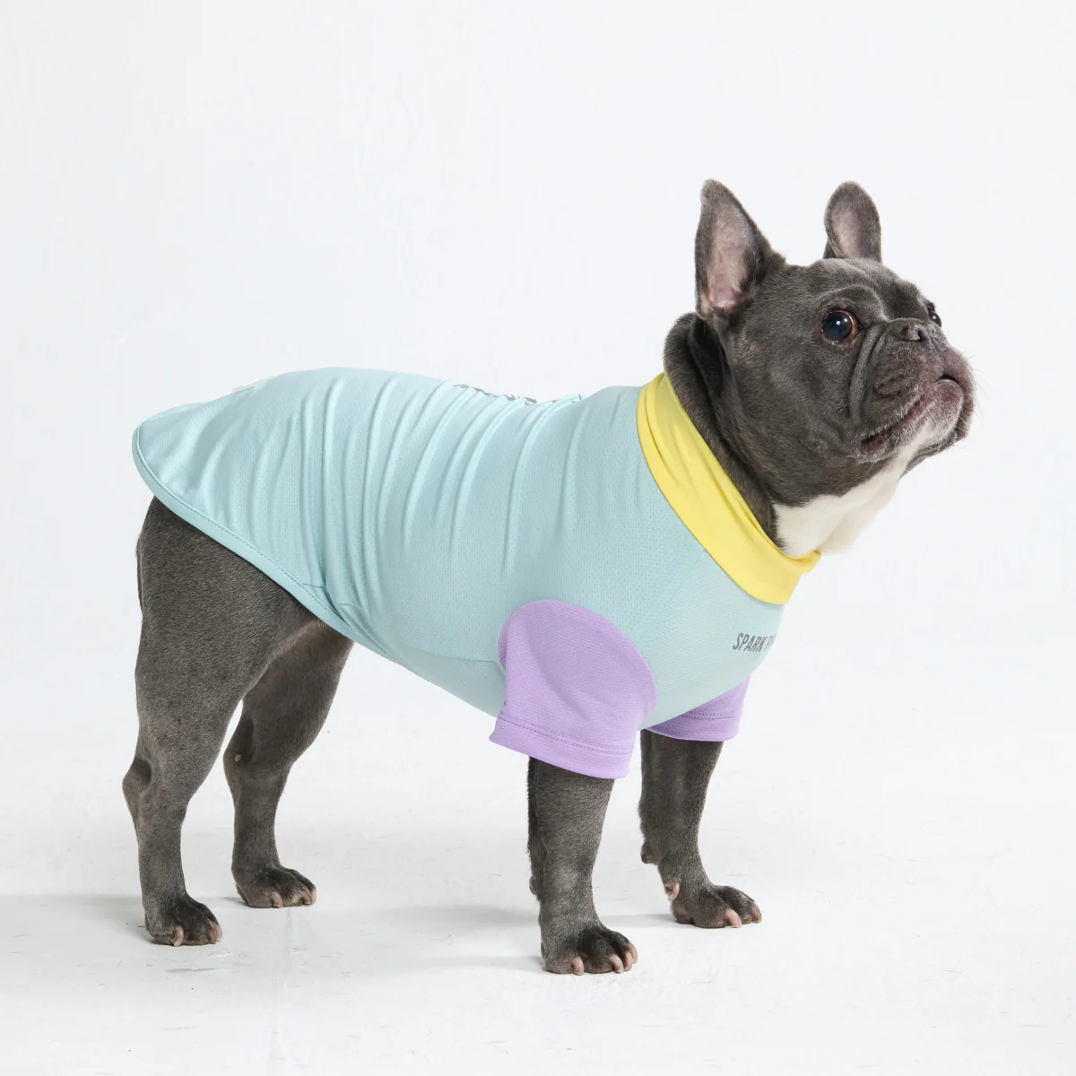 Sunblock Dog T-Shirt - Color Block - Image 53