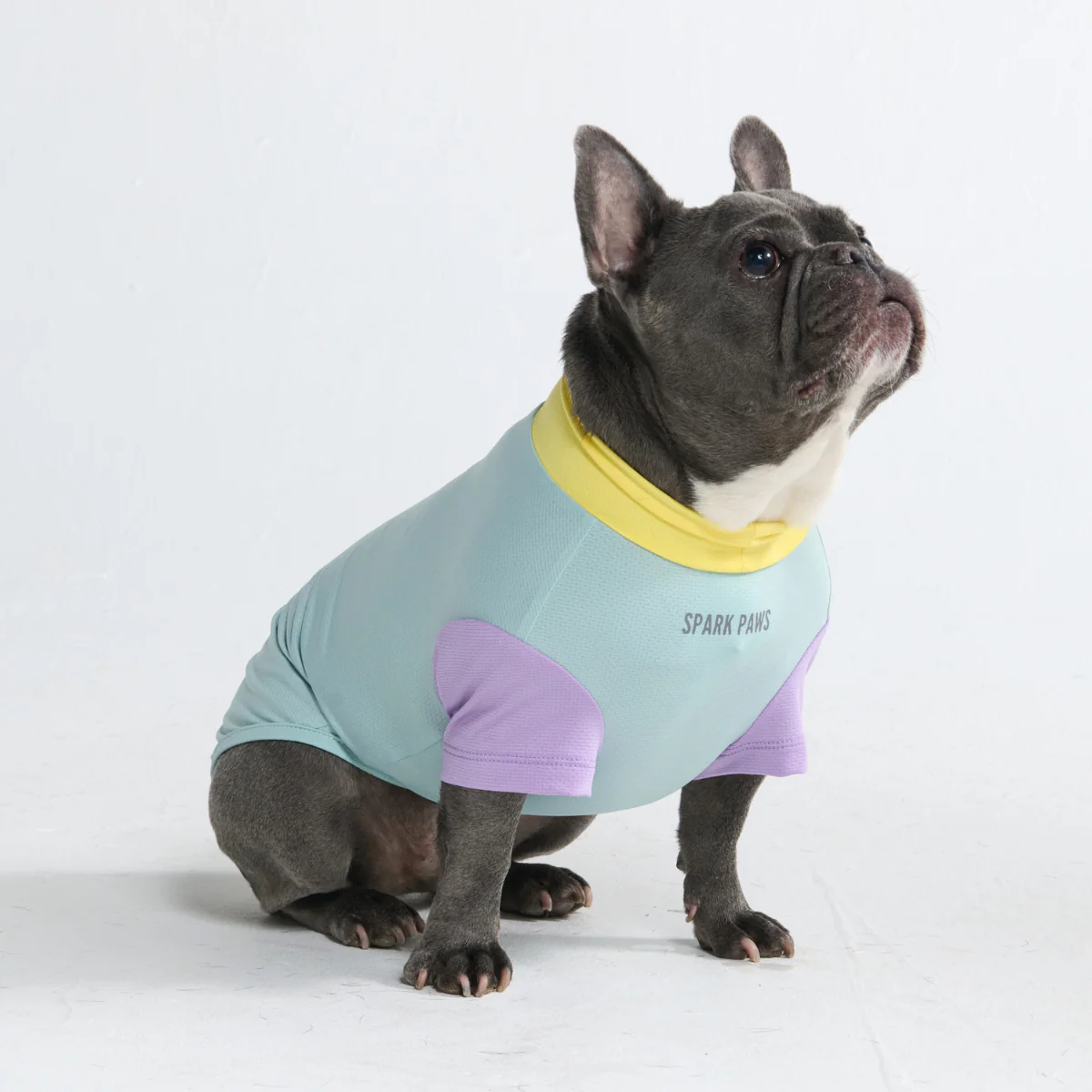 Sunblock Dog T-Shirt - Color Block - Image 54