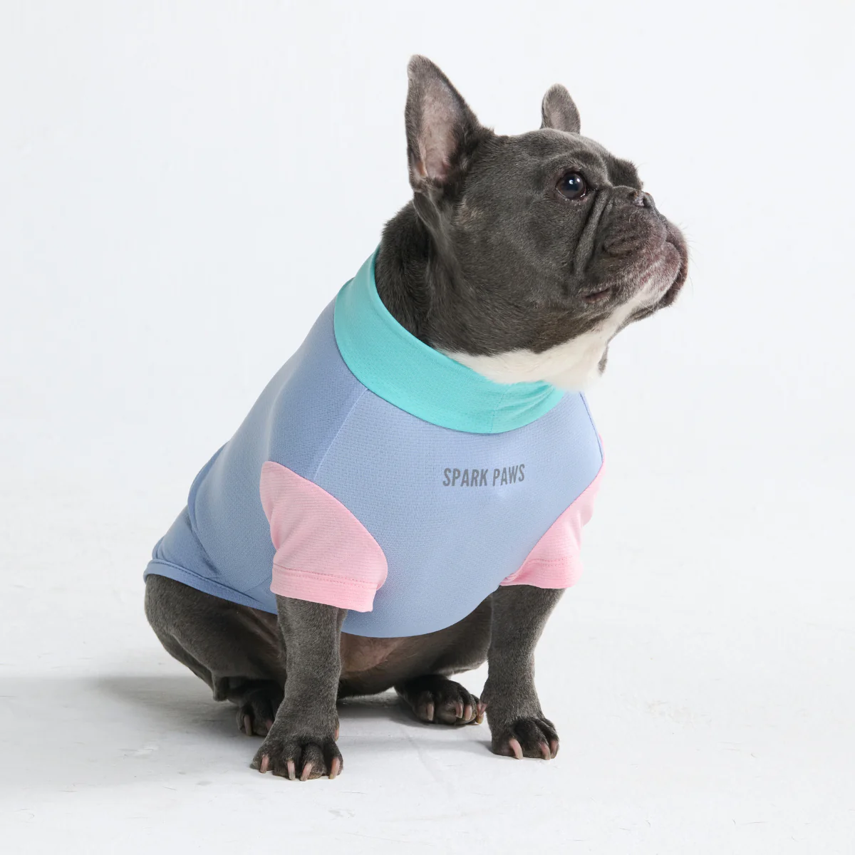 Sunblock Dog T-Shirt - Color Block - Image 6