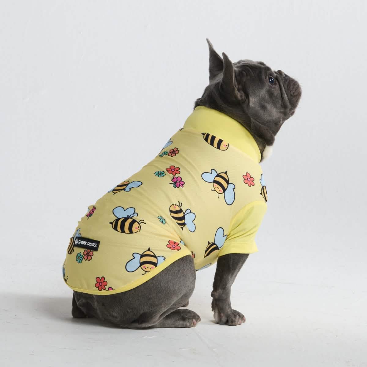 Sunblock Dog T-Shirt - Prints - Image 56