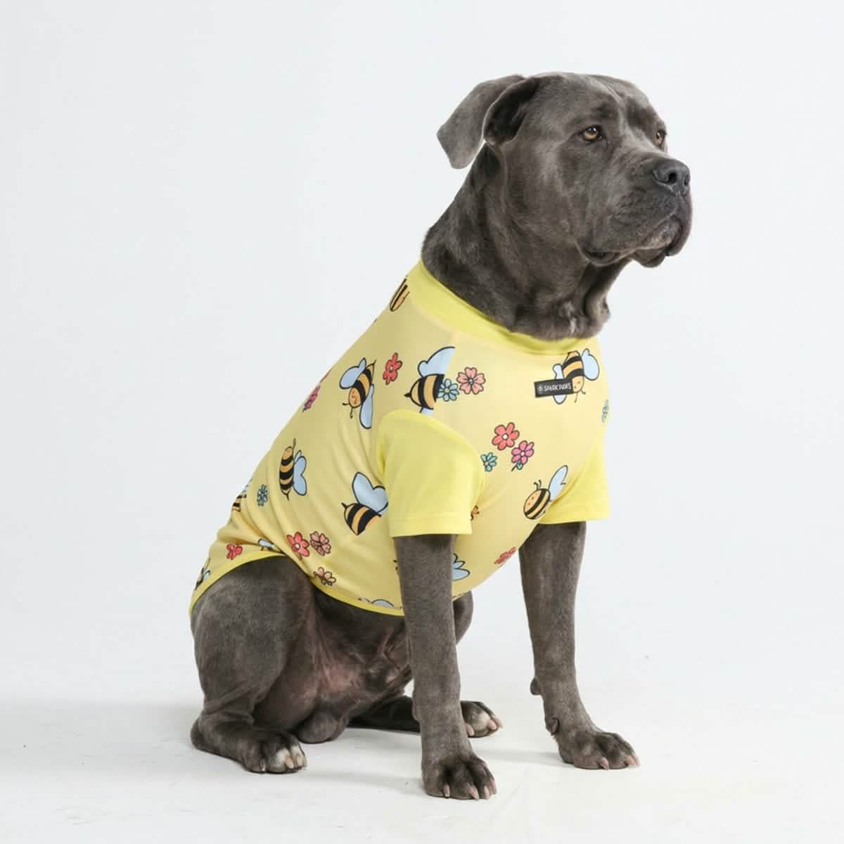 Sunblock Dog T-Shirt - Prints - Image 59