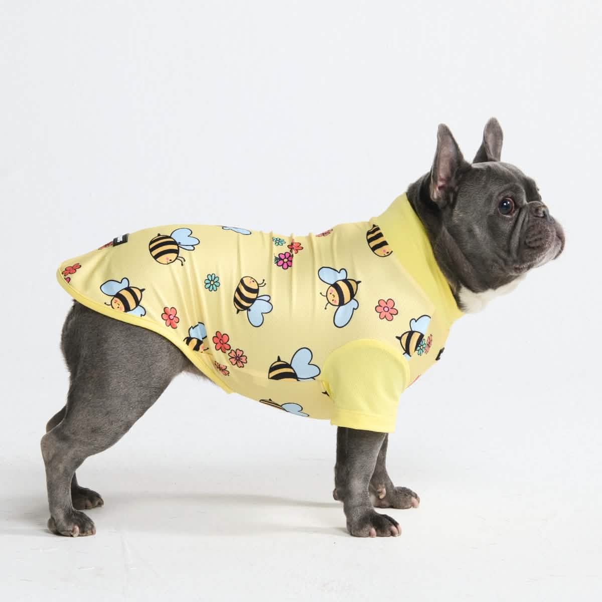 Sunblock Dog T-Shirt - Prints - Image 60