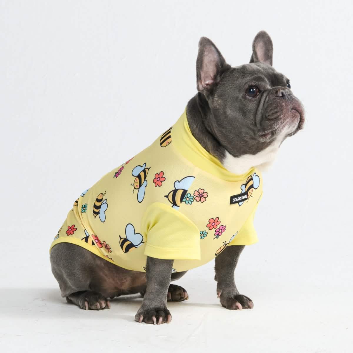 Sunblock Dog T-Shirt - Prints - Image 61
