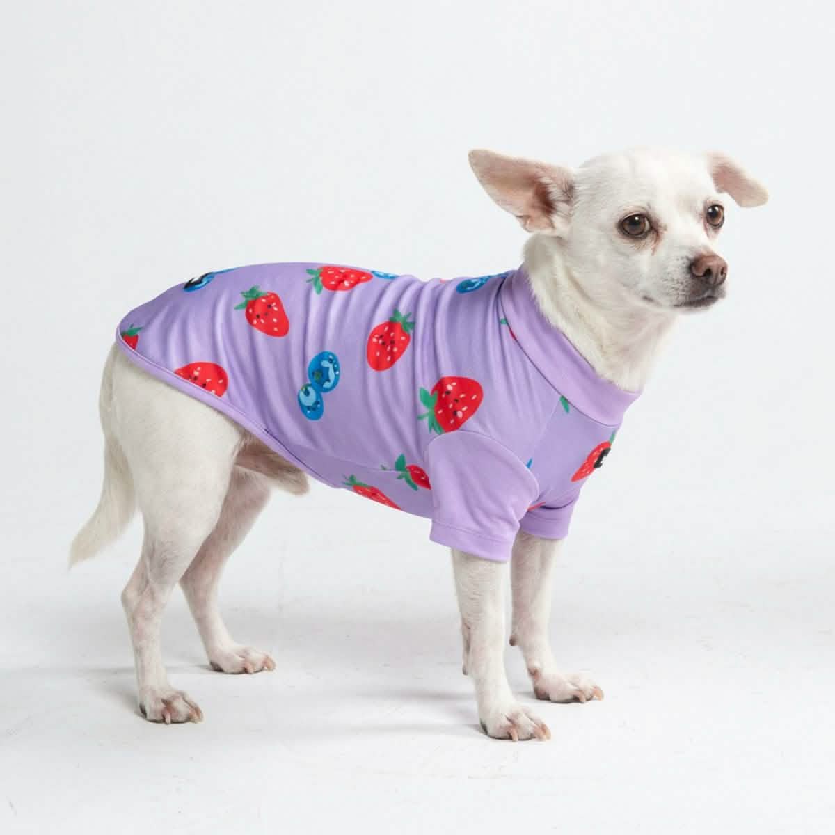 Sunblock Dog T-Shirt - Prints - Image 20