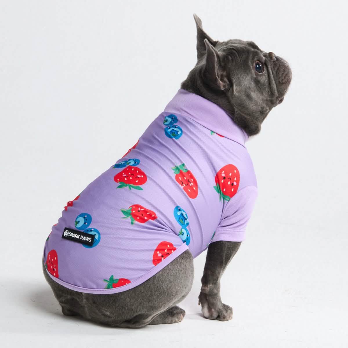 Sunblock Dog T-Shirt - Prints - Image 21