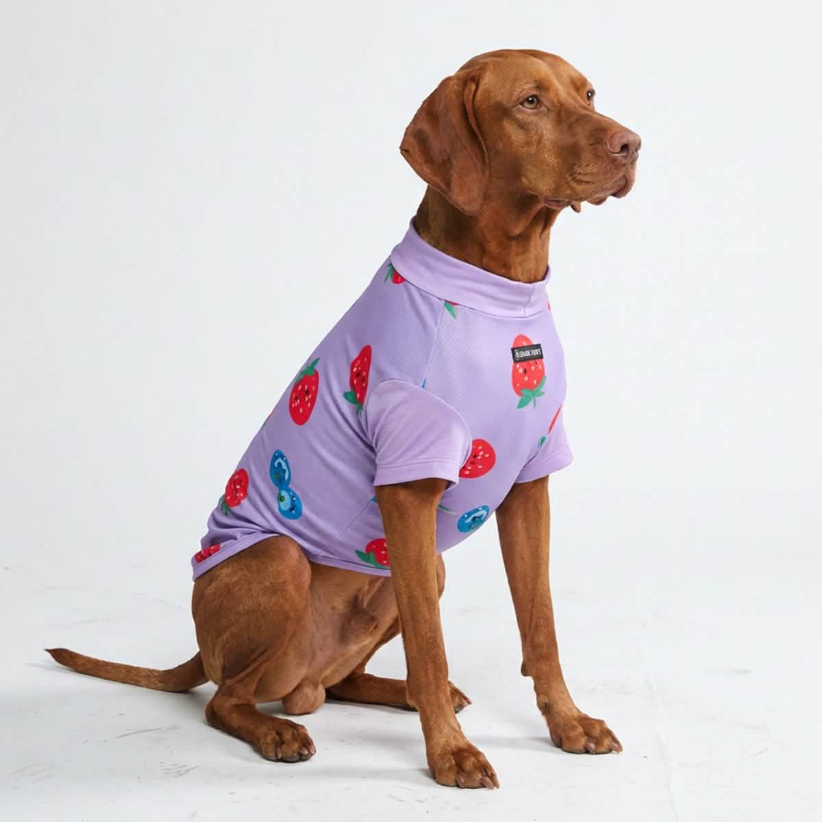 Sunblock Dog T-Shirt - Prints - Image 19
