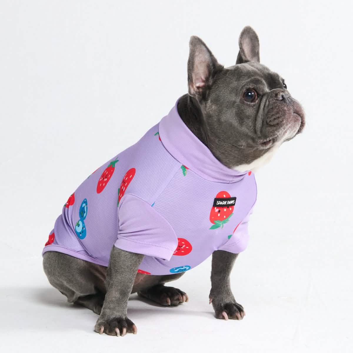 Sunblock Dog T-Shirt - Prints - Image 24
