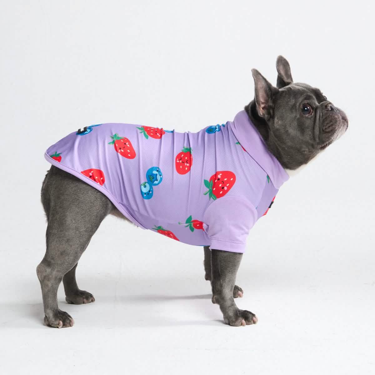 Sunblock Dog T-Shirt - Prints - Image 23