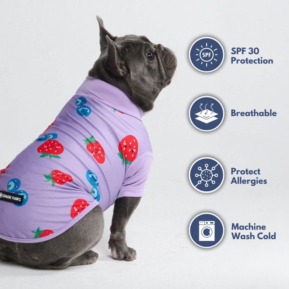 Sunblock Dog T-Shirt - Prints - Image 25