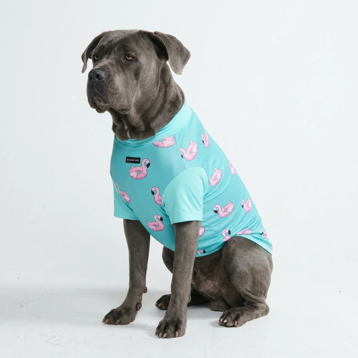 Sunblock Dog T-Shirt - Prints - Image 51