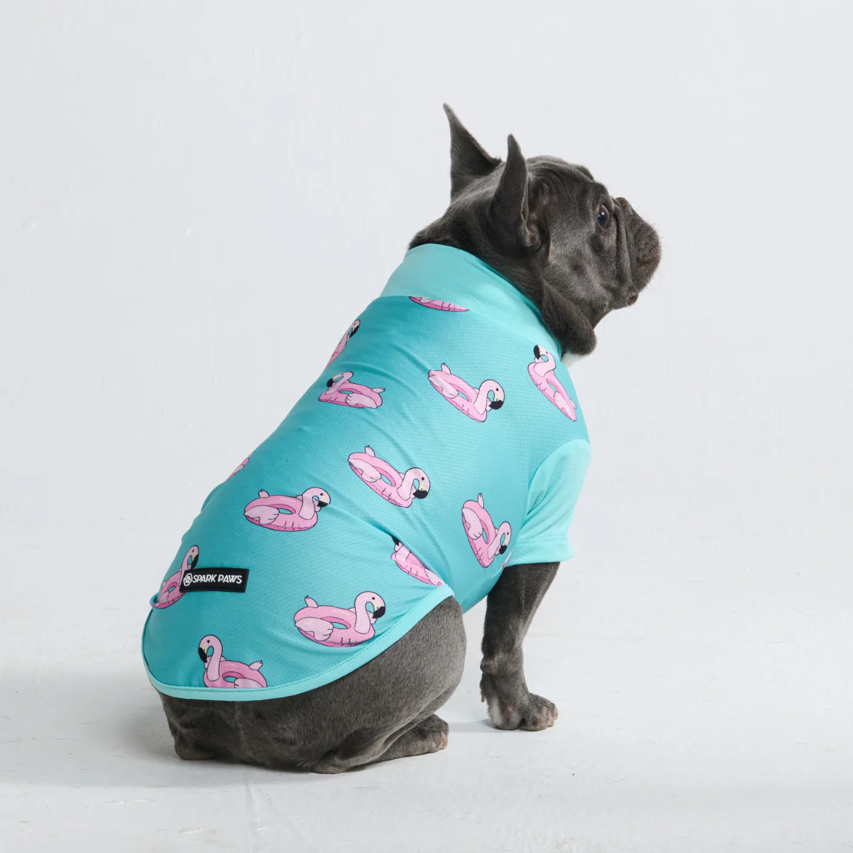 Sunblock Dog T-Shirt - Prints - Image 49