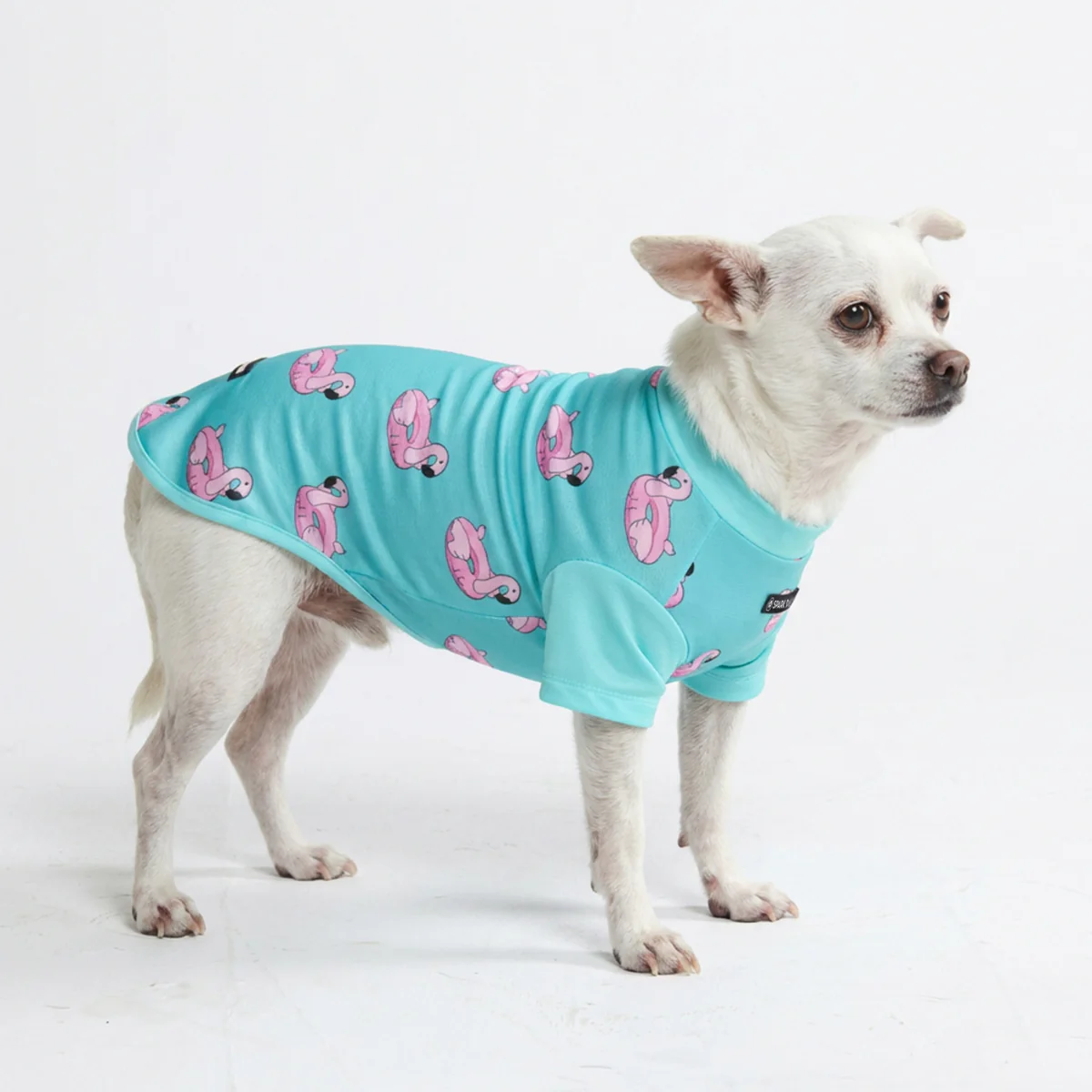 Sunblock Dog T-Shirt - Prints - Image 48