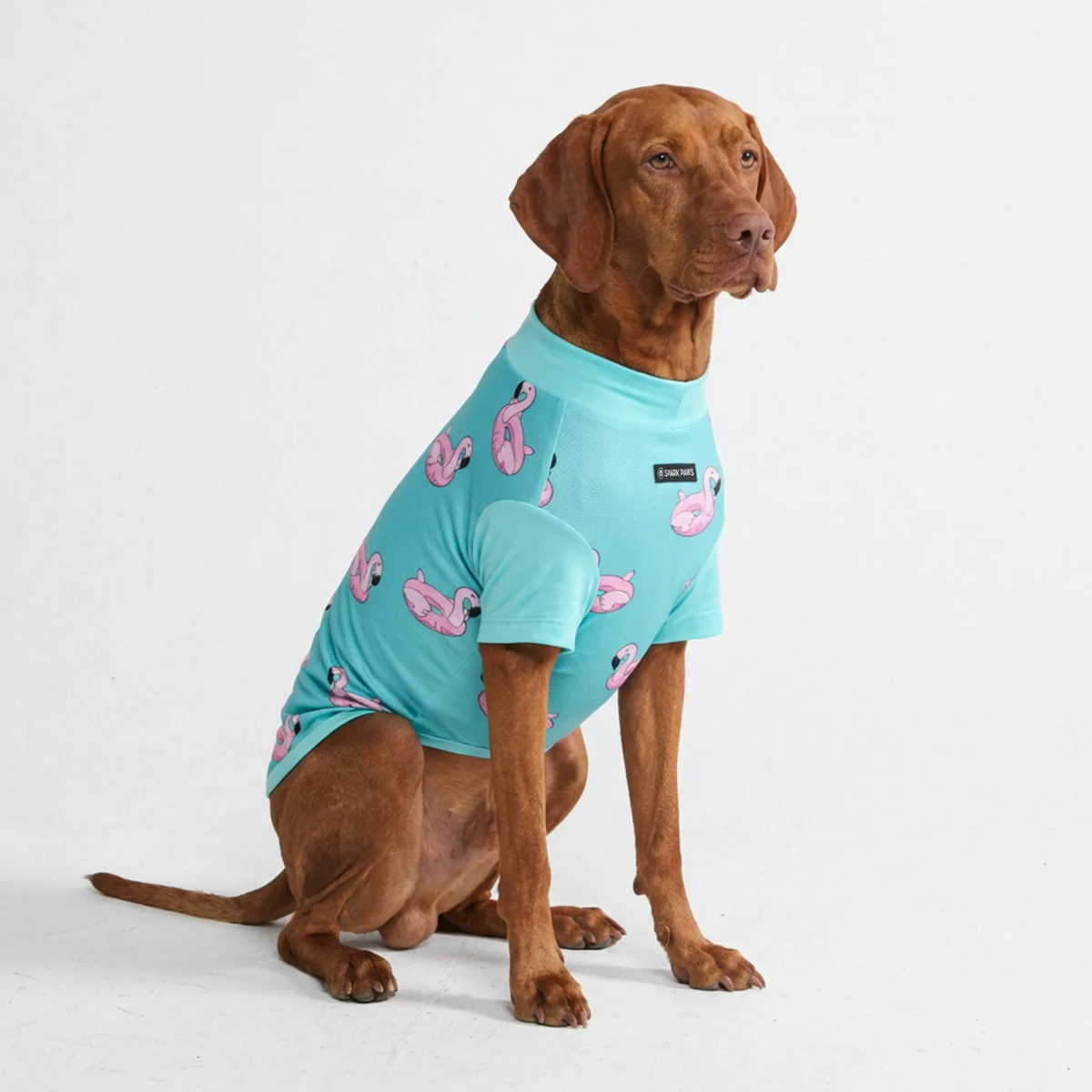 Sunblock Dog T-Shirt - Prints - Image 50