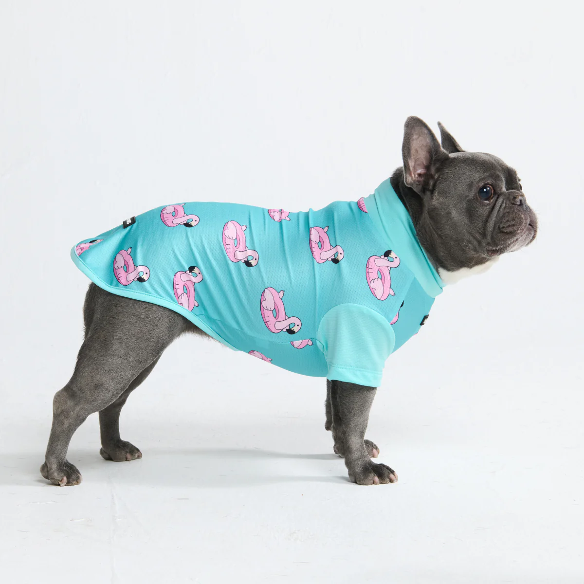 Sunblock Dog T-Shirt - Prints - Image 52