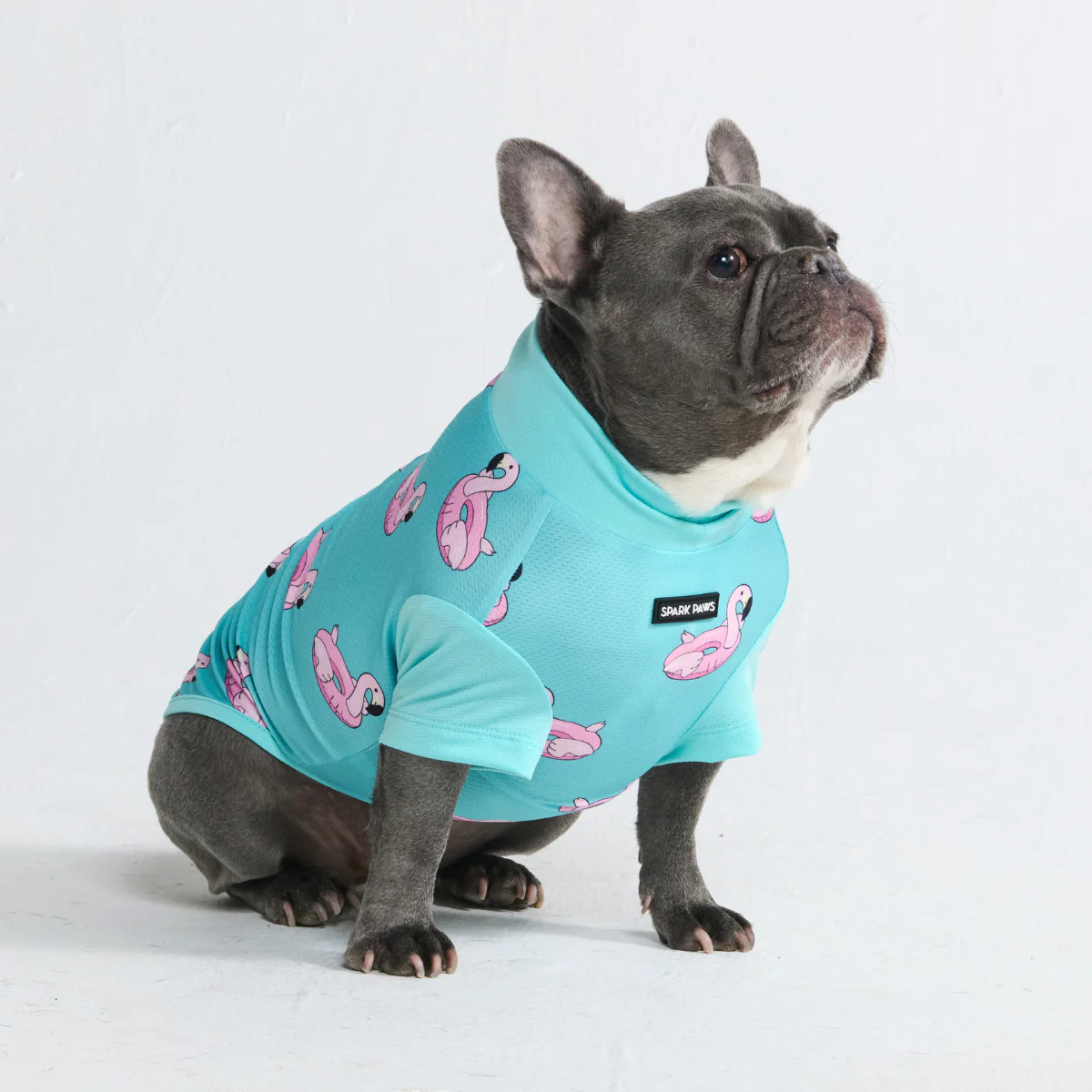 Sunblock Dog T-Shirt - Prints - Image 53