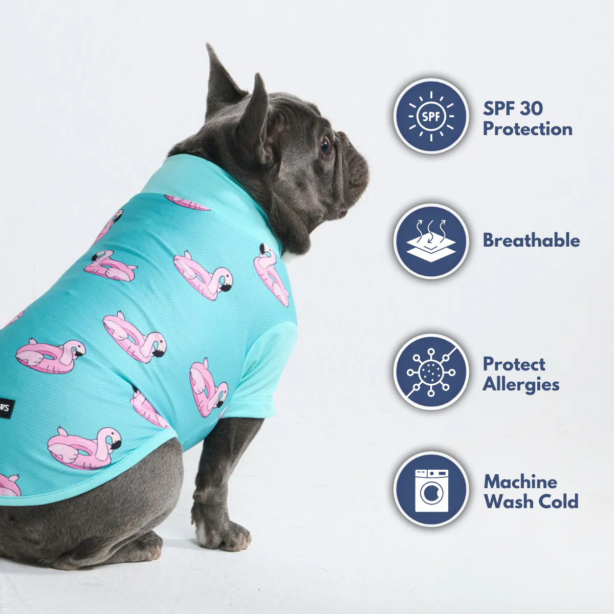 Sunblock Dog T-Shirt - Prints - Image 54
