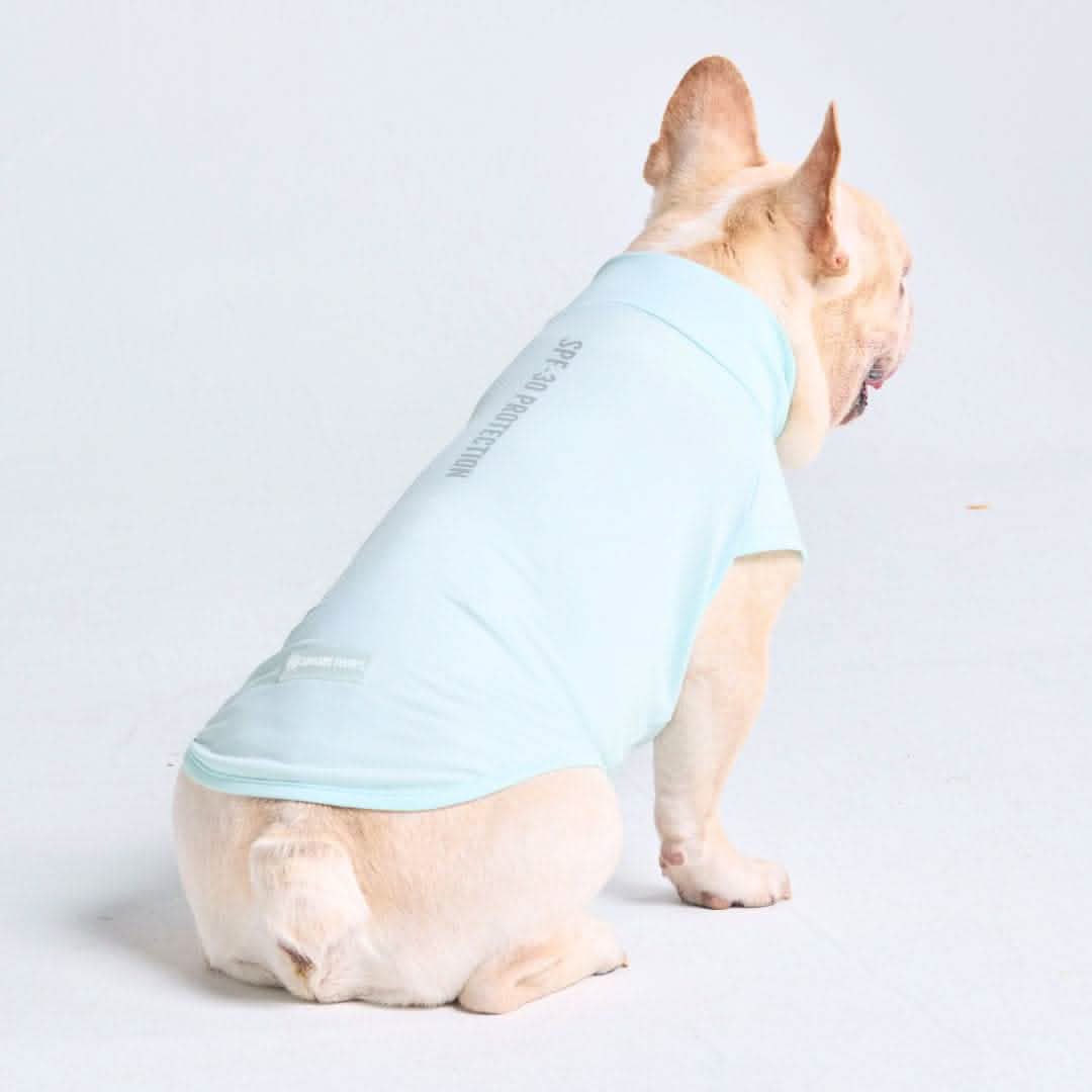Sunblock Dog T-Shirt - Baby Blue - Image 5
