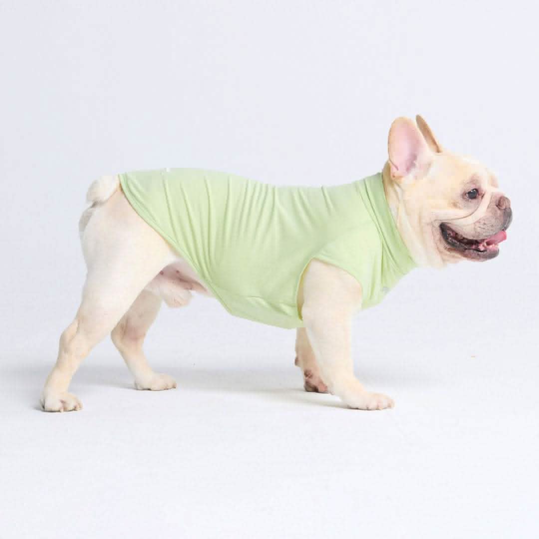 Sunblock Dog T-Shirt - Light Sage - Image 5