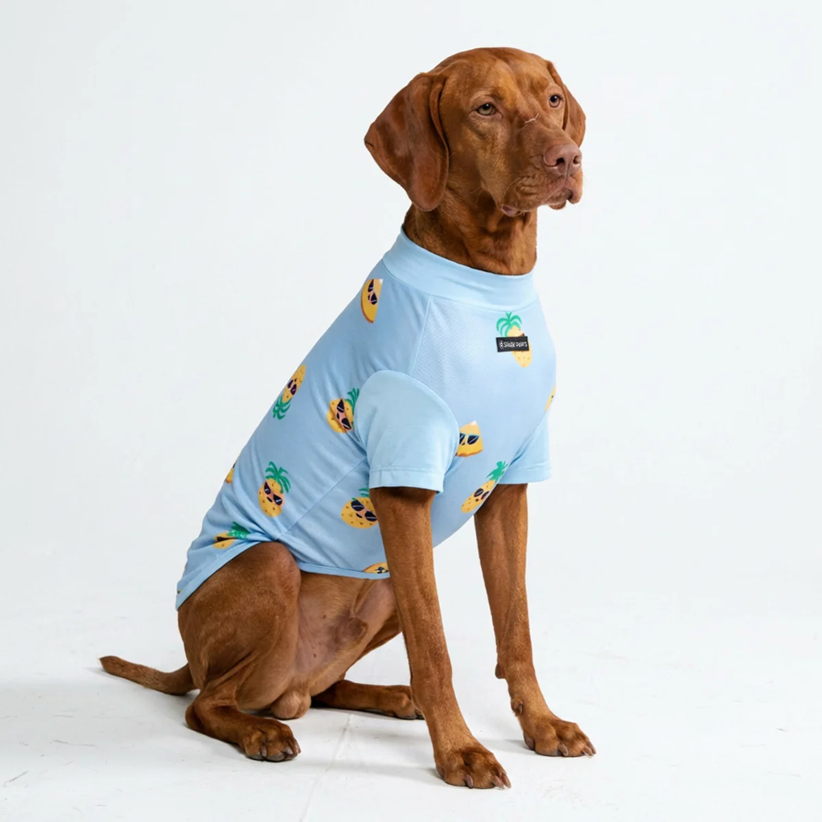 Sunblock Dog T-Shirt - Prints - Image 35