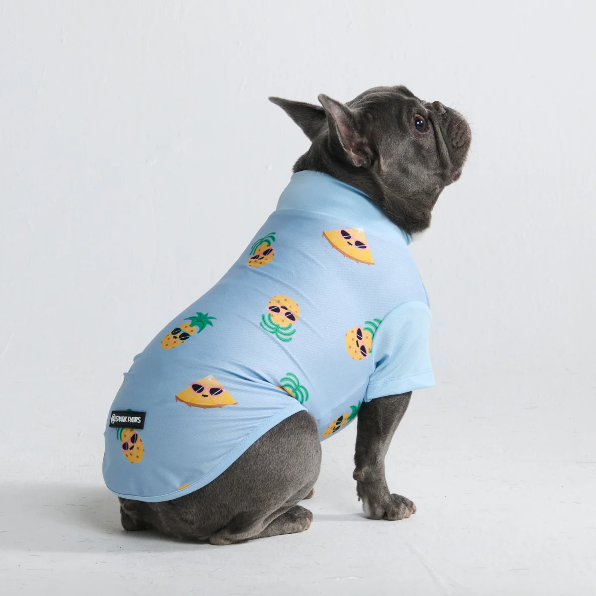 Sunblock Dog T-Shirt - Prints - Image 34