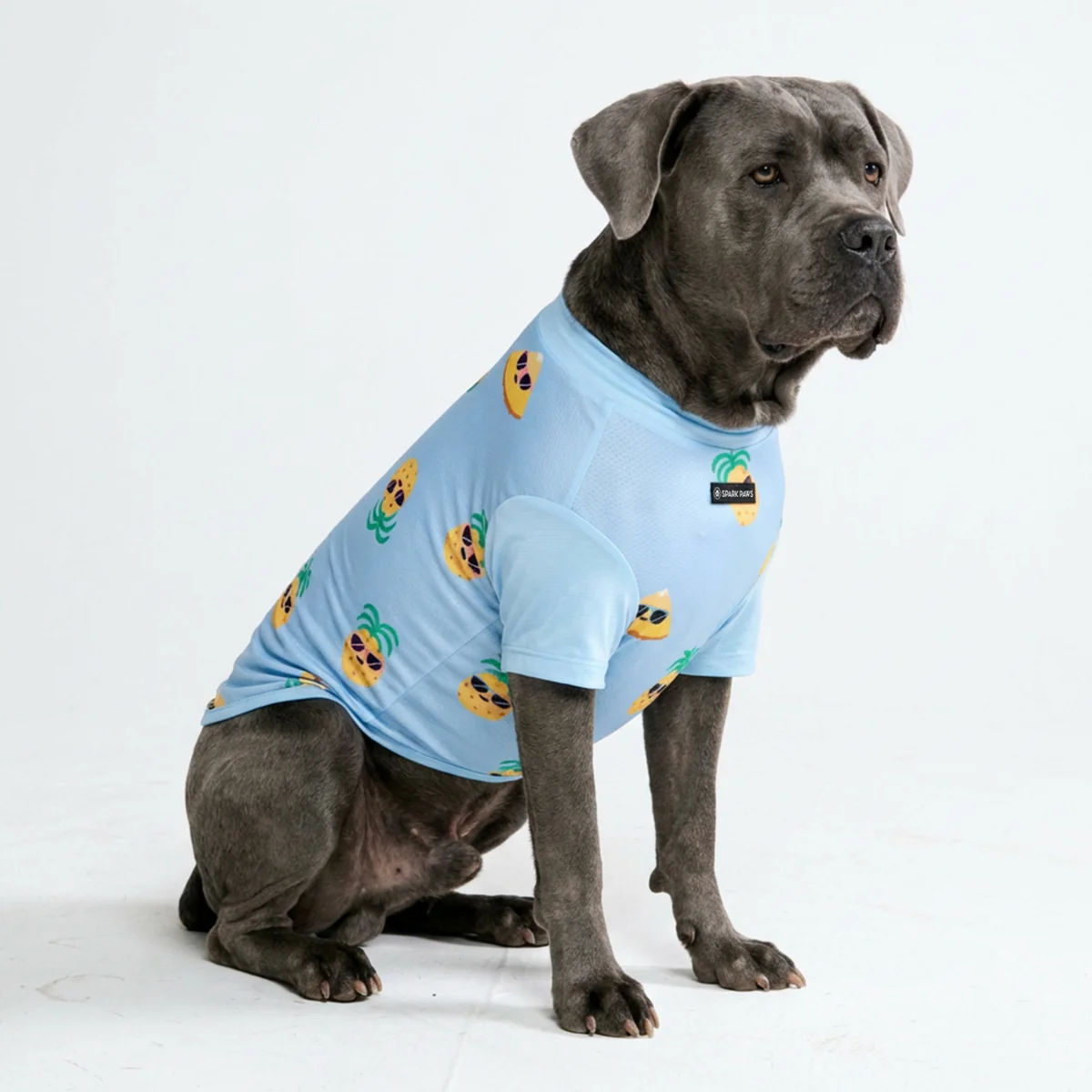 Sunblock Dog T-Shirt - Prints - Image 36