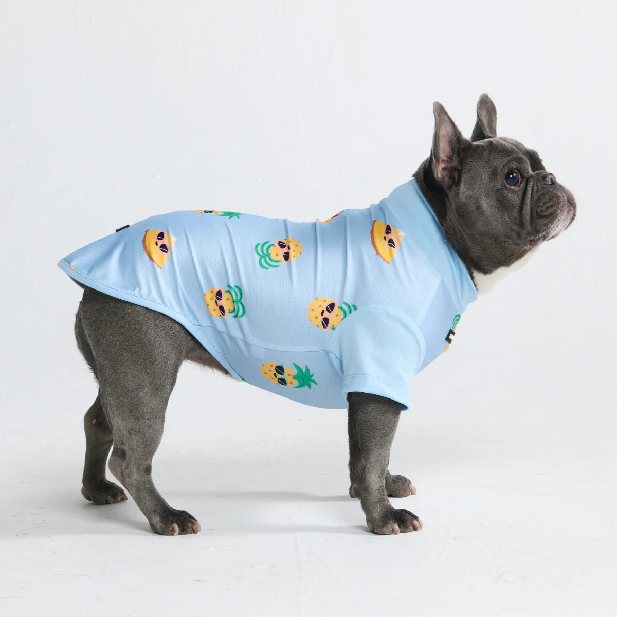 Sunblock Dog T-Shirt - Prints - Image 37