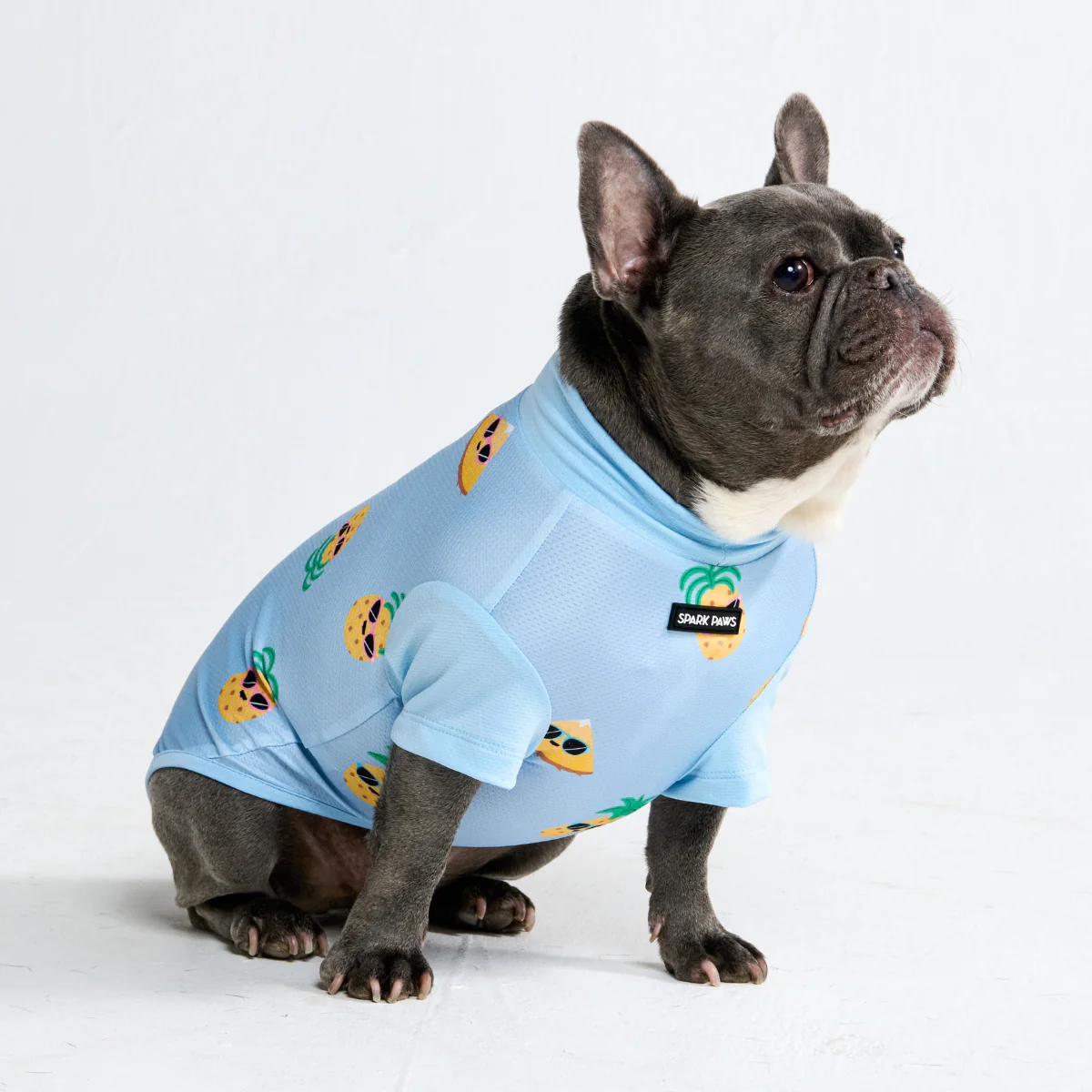 Sunblock Dog T-Shirt - Prints - Image 38