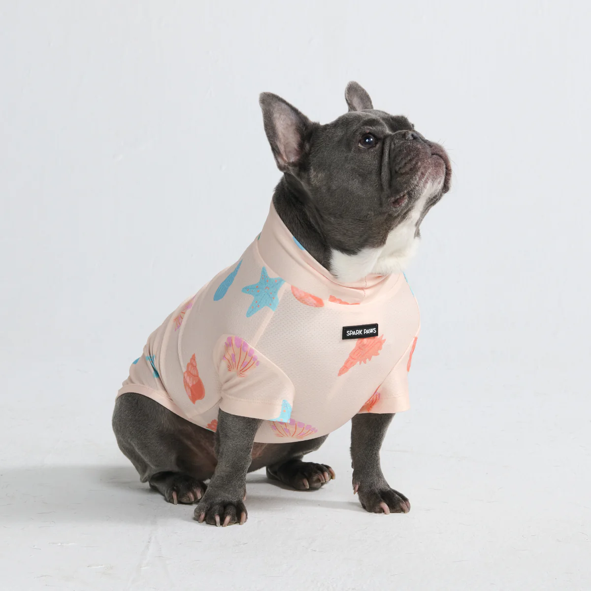 Sunblock Dog T-Shirt - Prints - Image 29