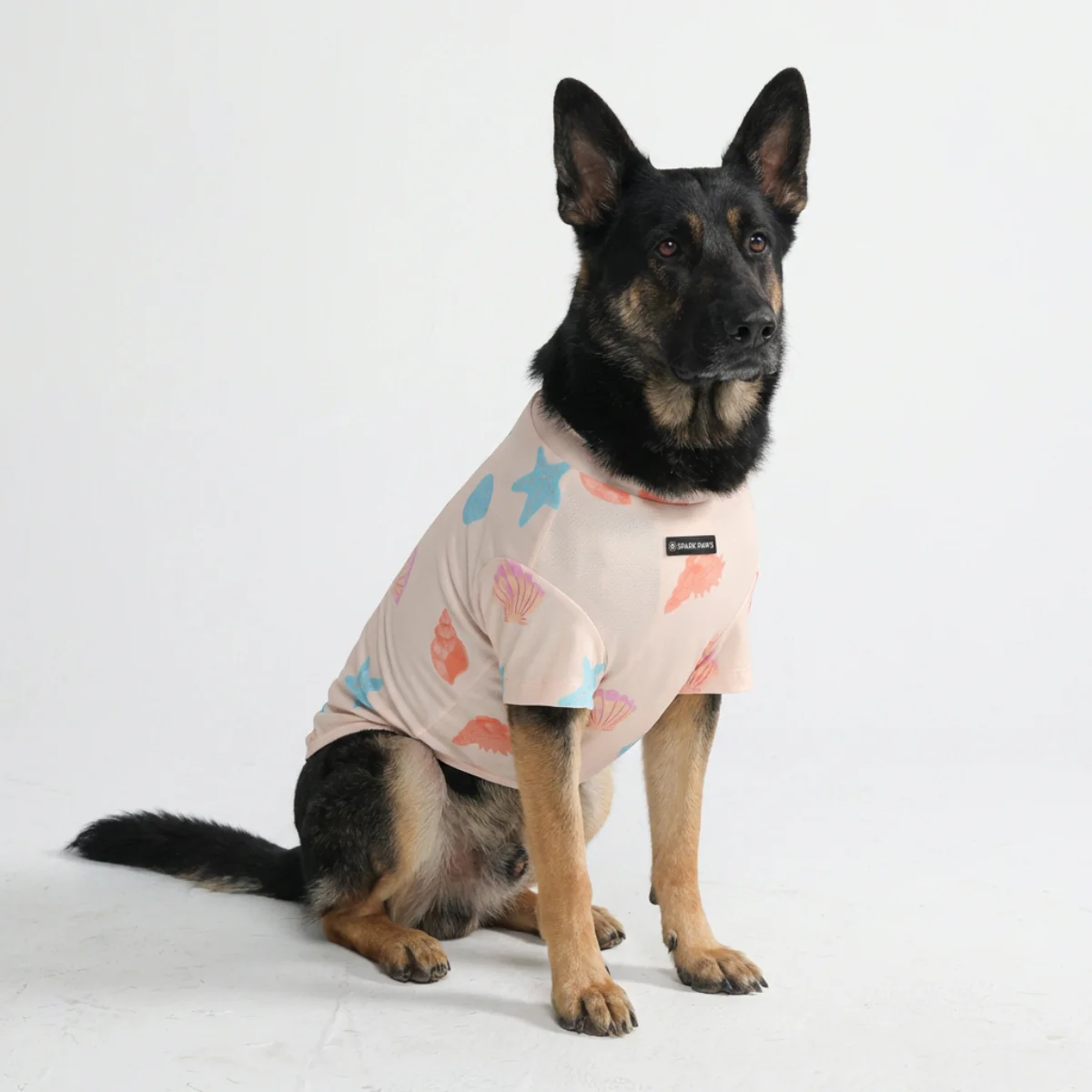 Sunblock Dog T-Shirt - Prints - Image 30
