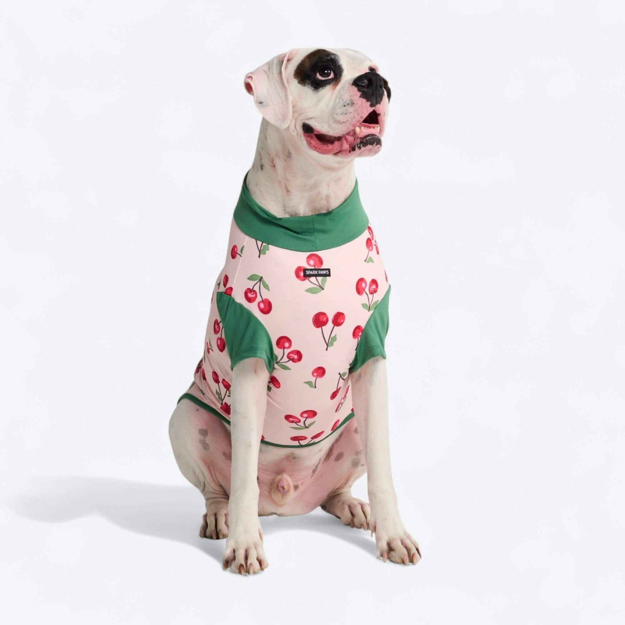 Sunblock Dog T-Shirt - Prints - Image 10