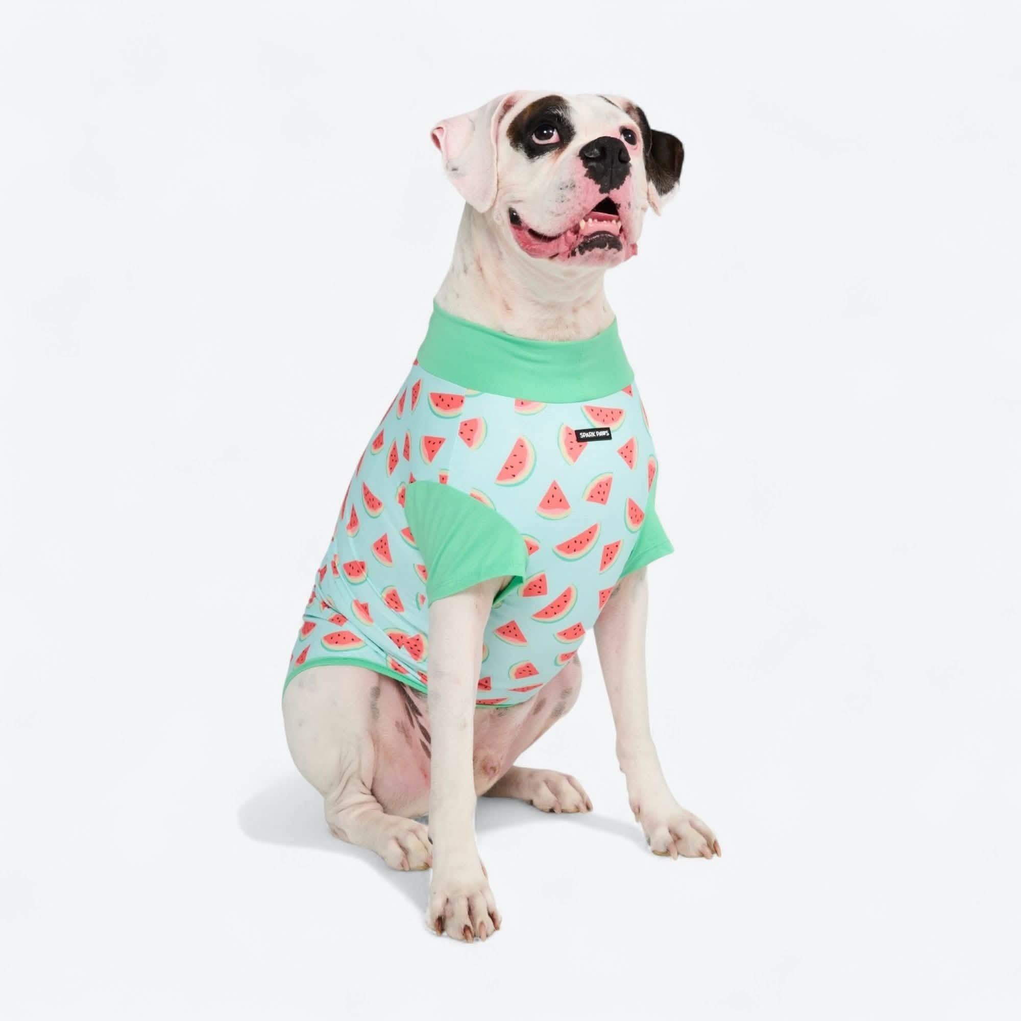 Sunblock Dog T-Shirt - Prints - Image 3