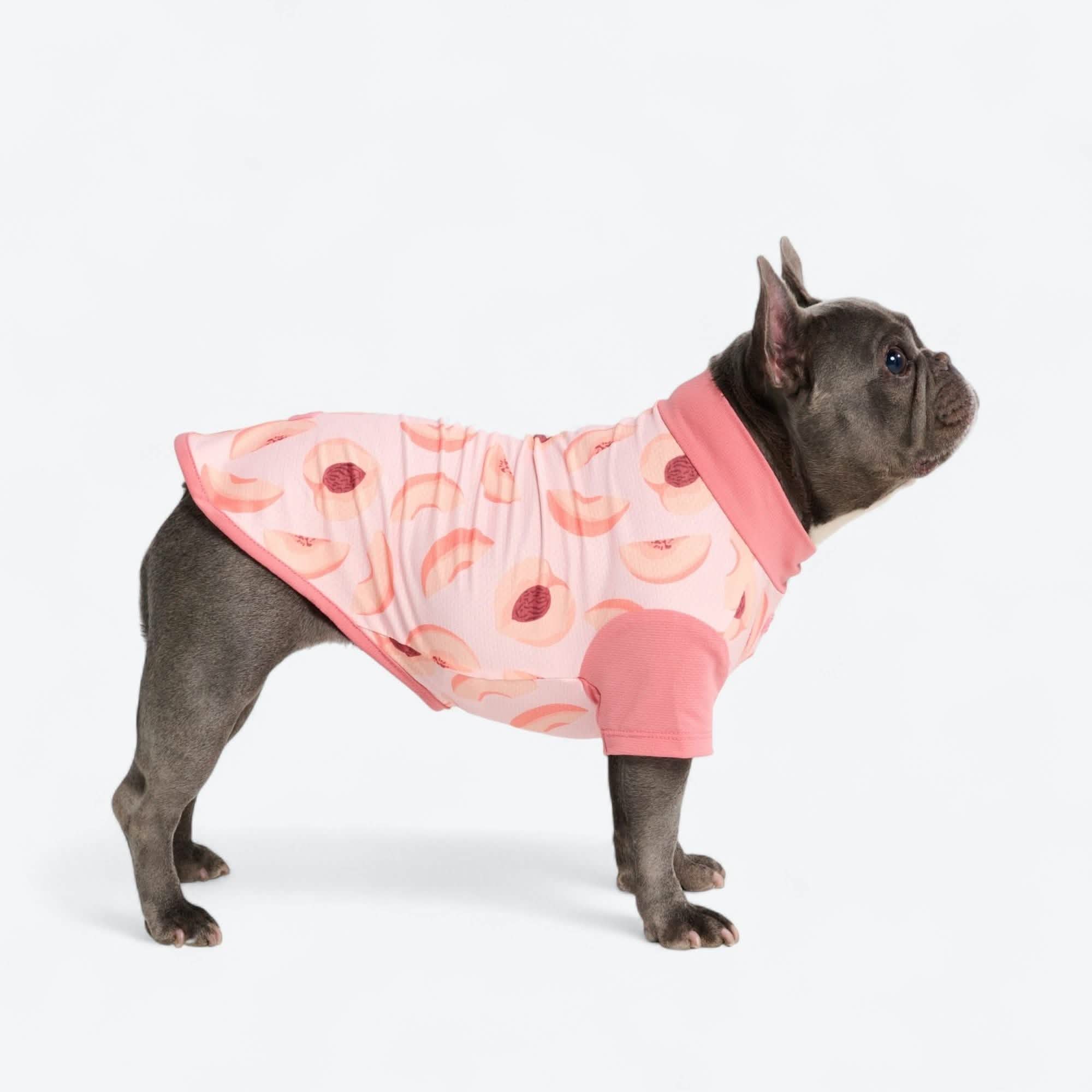 Sunblock Dog T-Shirt - Prints - Image 41