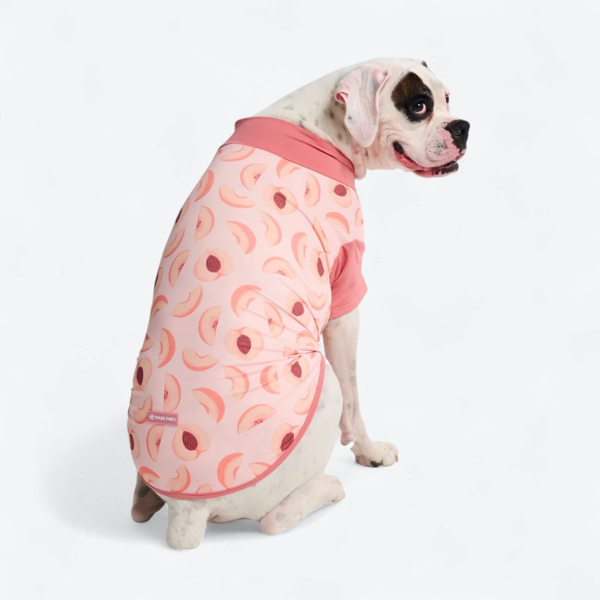 Sunblock Dog T-Shirt - Prints - Image 43