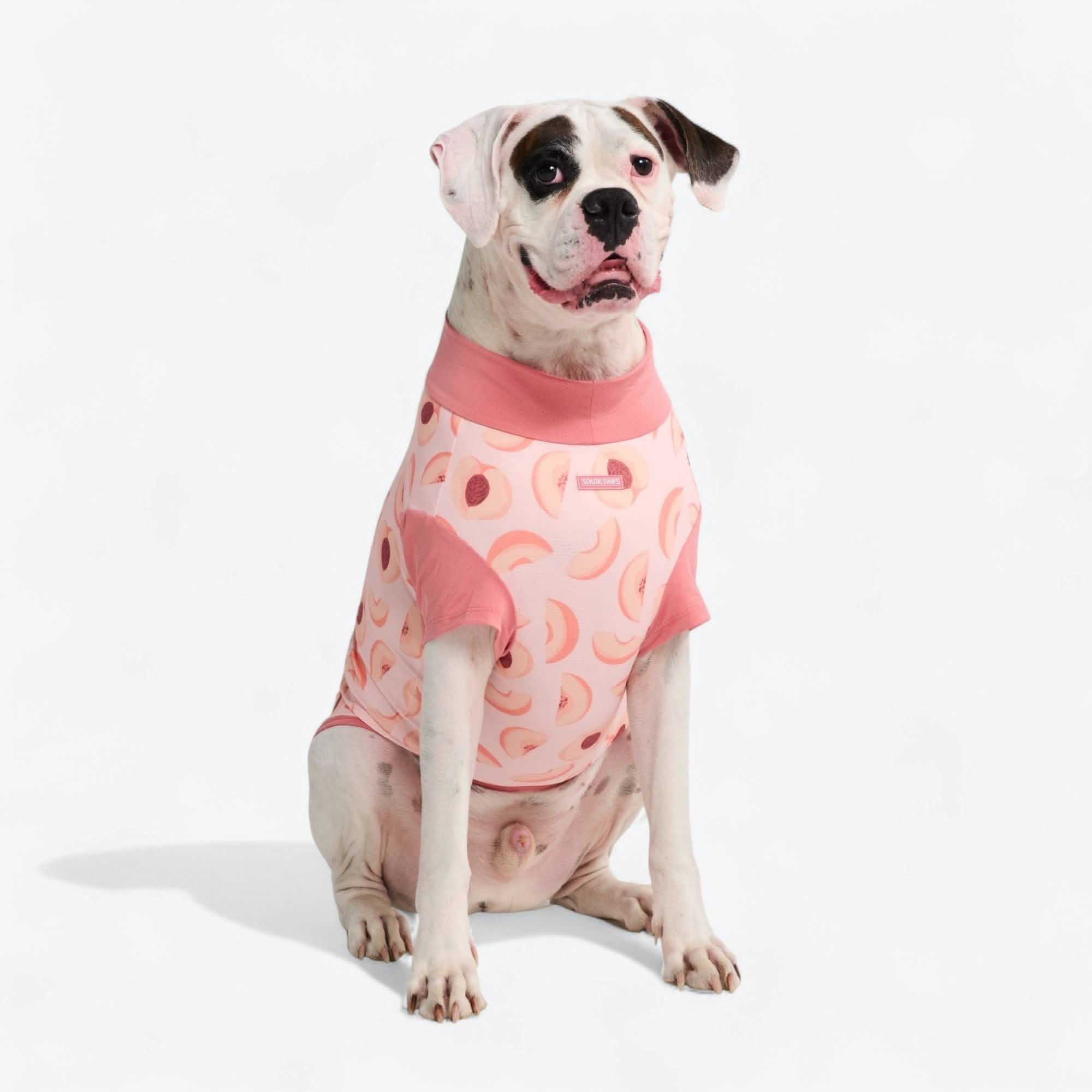 Sunblock Dog T-Shirt - Prints - Image 46