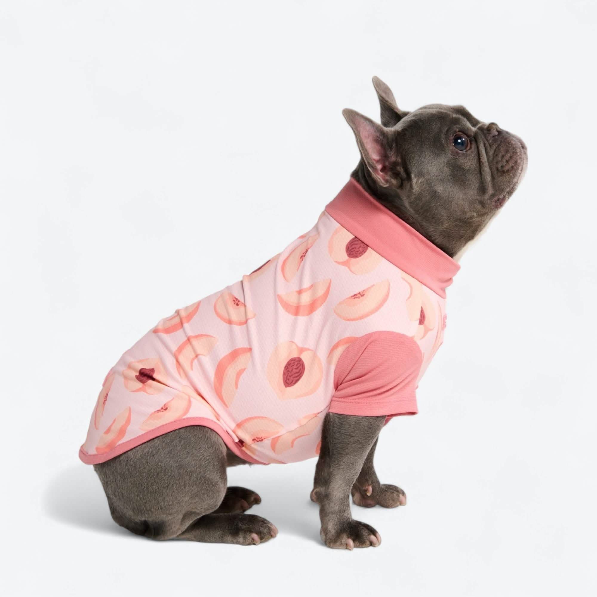 Sunblock Dog T-Shirt - Prints - Image 47
