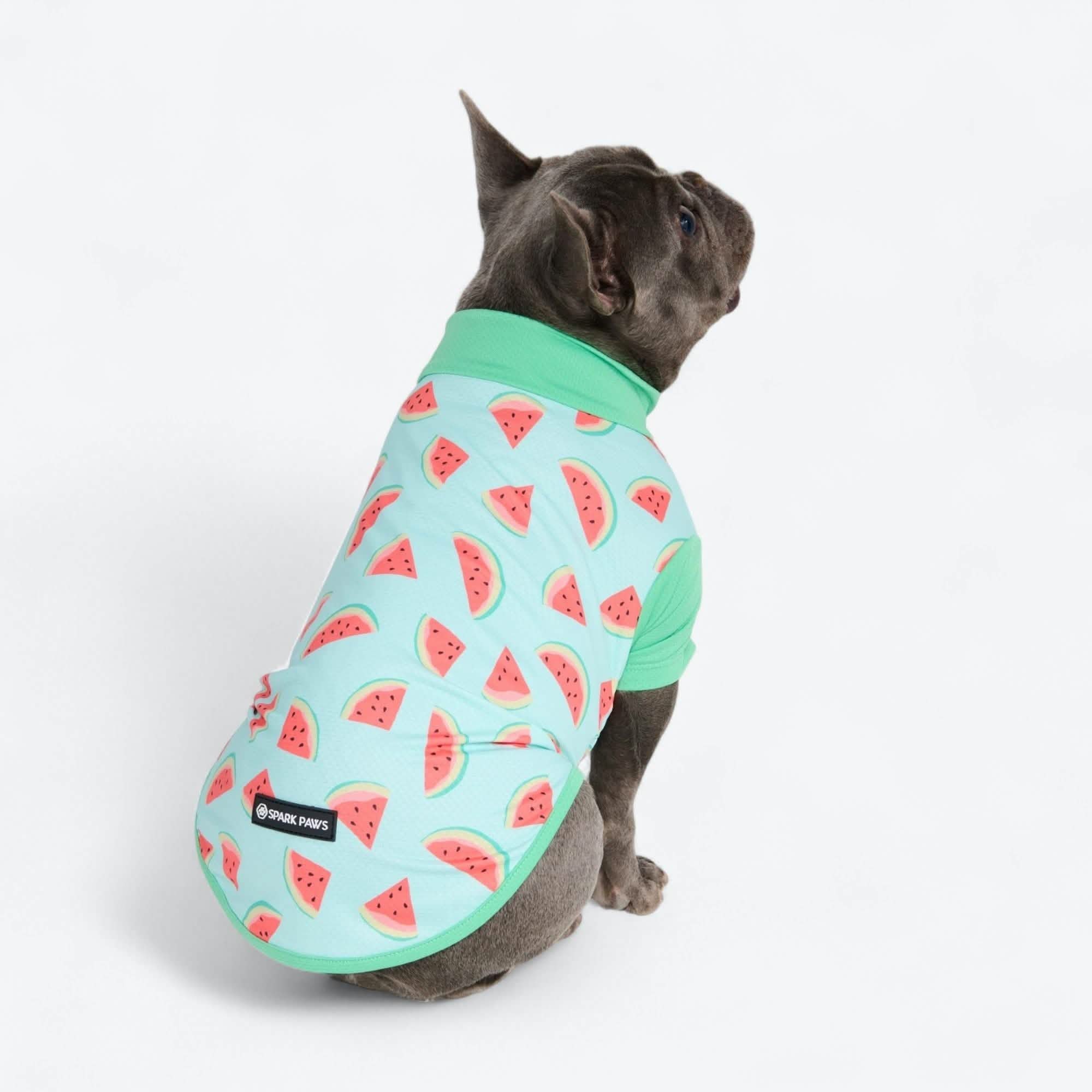 Sunblock Dog T-Shirt - Prints - Image 5