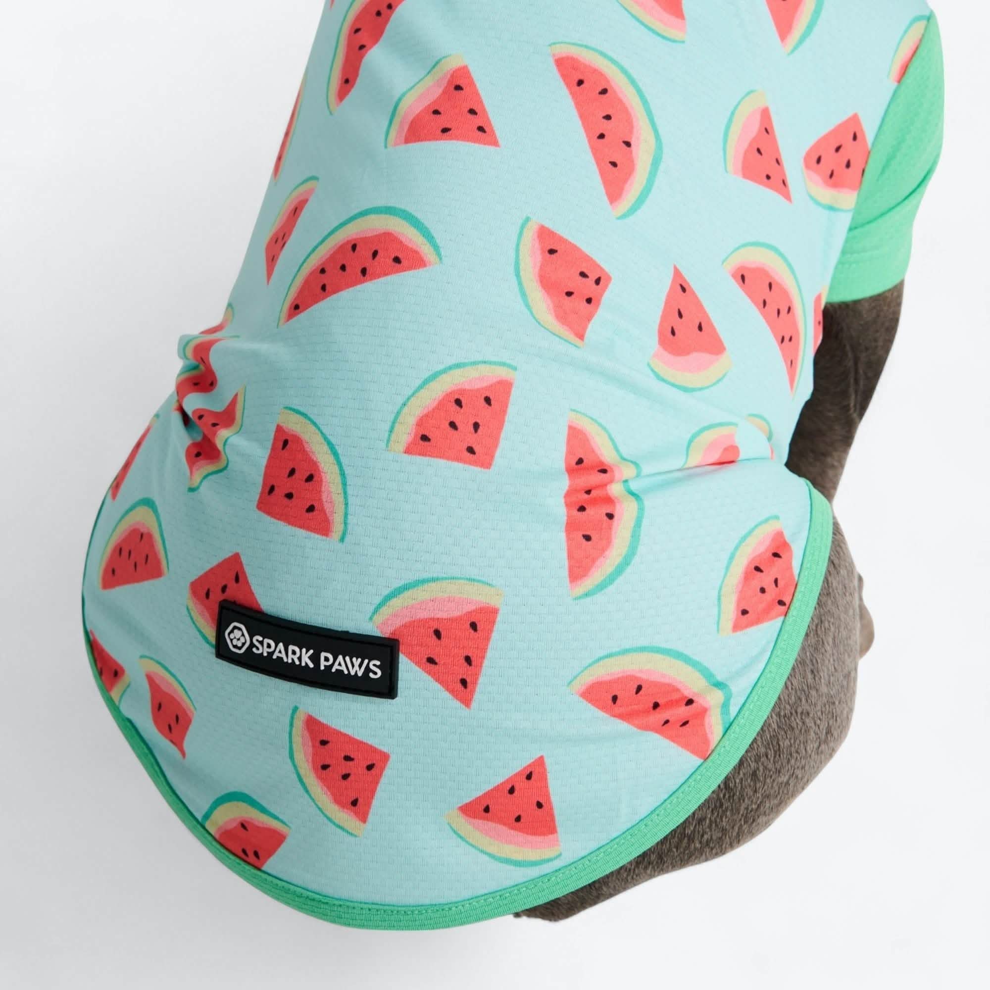 Sunblock Dog T-Shirt - Prints - Image 6