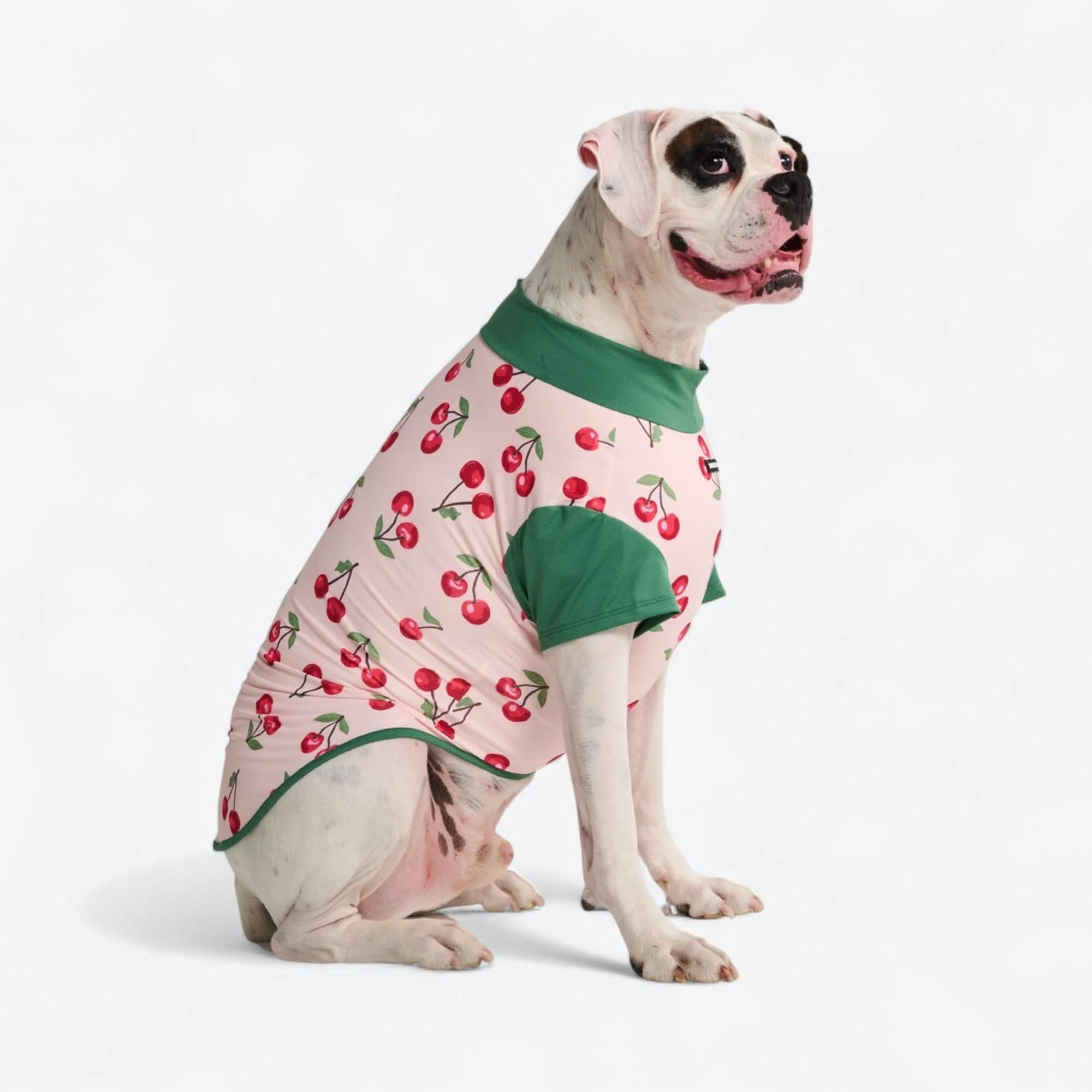 Sunblock Dog T-Shirt - Prints - Image 7