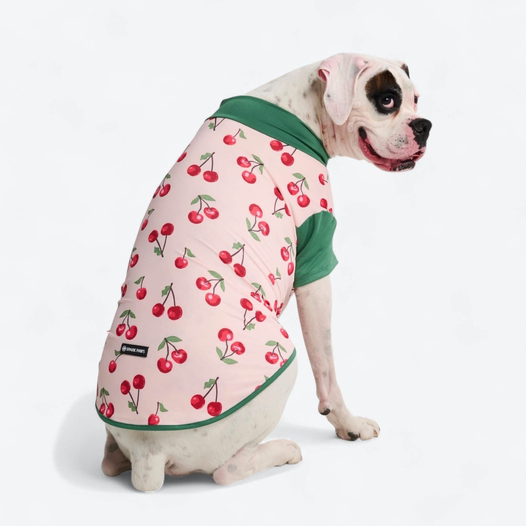 Sunblock Dog T-Shirt - Prints - Image 9
