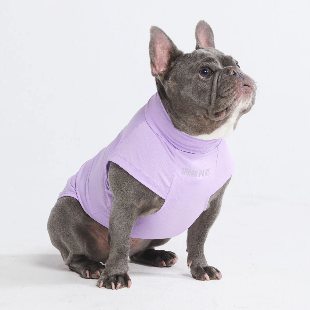 Sunblock Dog T-Shirts - Image 12