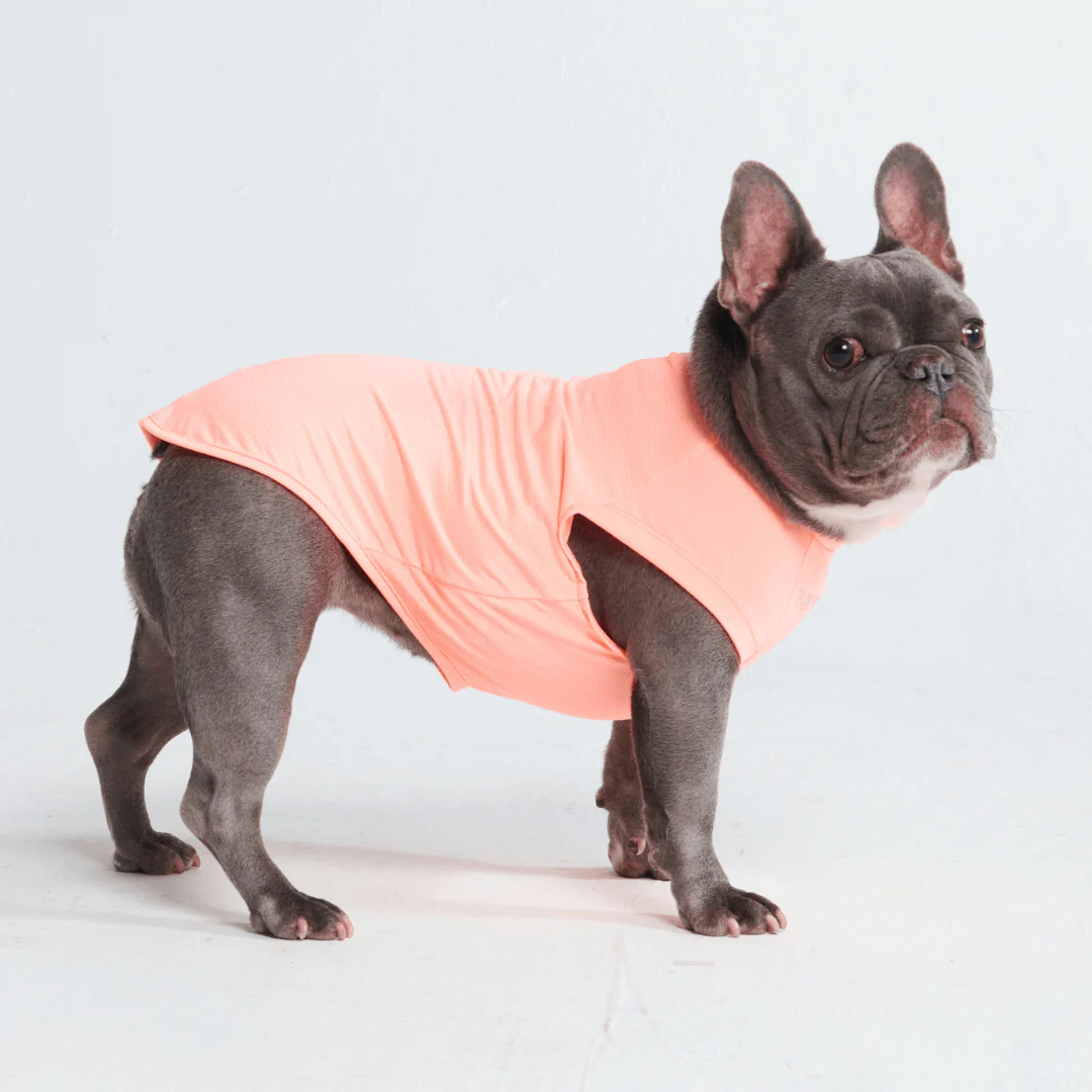 Sunblock Dog T-Shirts - Image 14