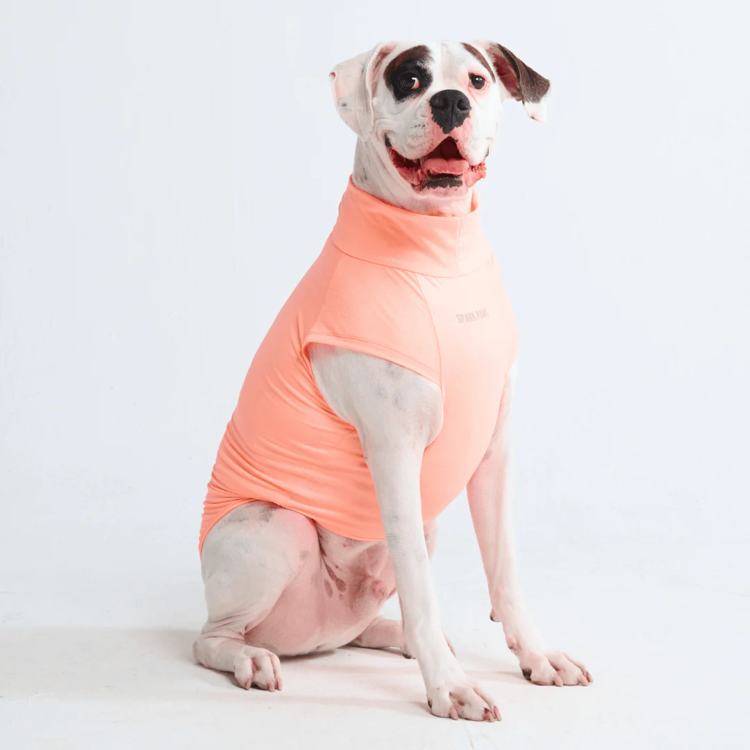Sunblock Dog T-Shirts - Image 15